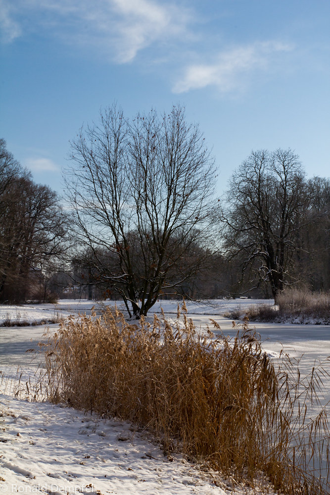 Winter-in-Branitz-1.jpg